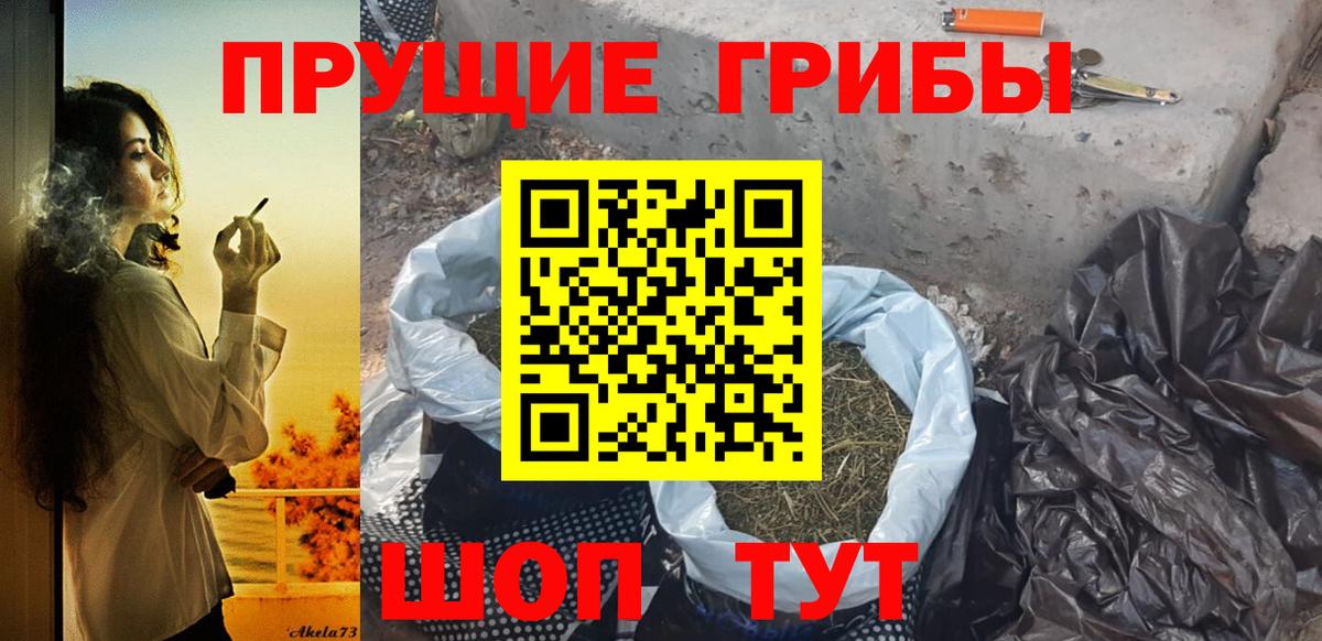 Ковров  где найти наркотики  Вход с VPN  Галлюциногенные грибы Psilocybine cubensis 